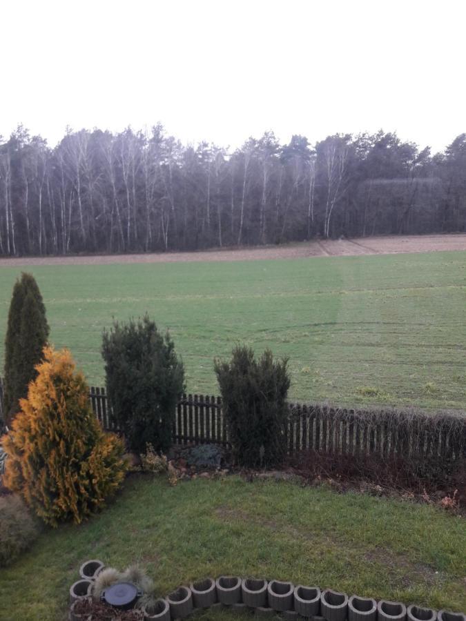 Farma Aktywnego Wypoczynku Dagaspa Repki Extérieur photo
